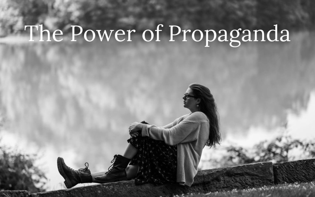 The Power of Propaganda Alli Prince young adult author