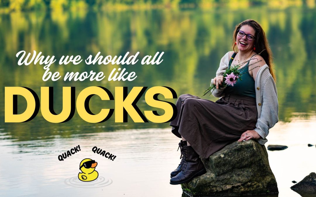 Why we should all be more like ducks author Alli Prince Christian blog