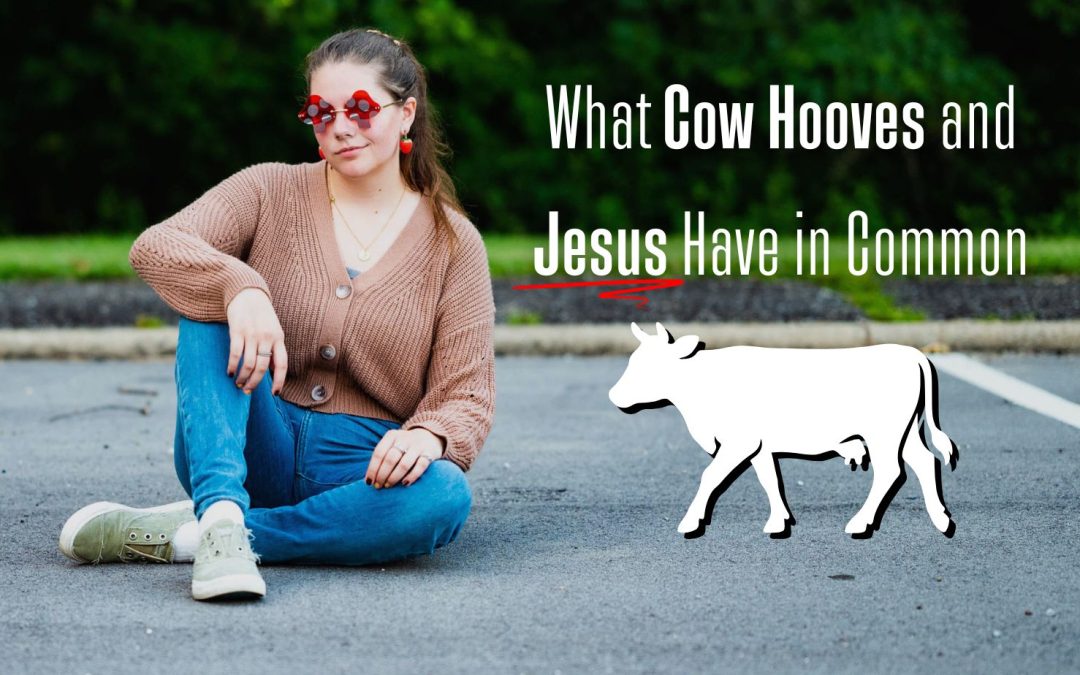What Cow Hooves and Jesus have in common author alli prince Jesus crying