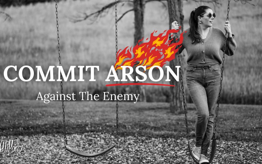 Spiritual warfare help fight against the enemy author alli prince